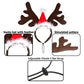 Holiday Reindeer & Santa Pet Set